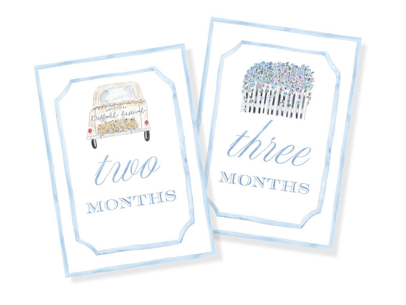 Blue Nantucket Baby Monthly Milestone Cards